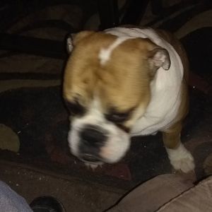 Meet your Posher, John